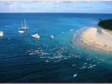17th Annual St. Croix Coral Reef Swim Race is almost&nbsp;here!