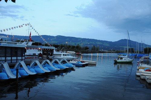 Marathon-Swim 2014, Switzerland 2 – 002