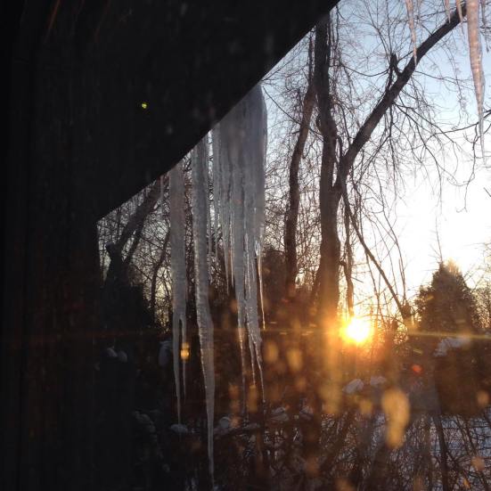 11002591_803743059696582_5653334495881182097_n