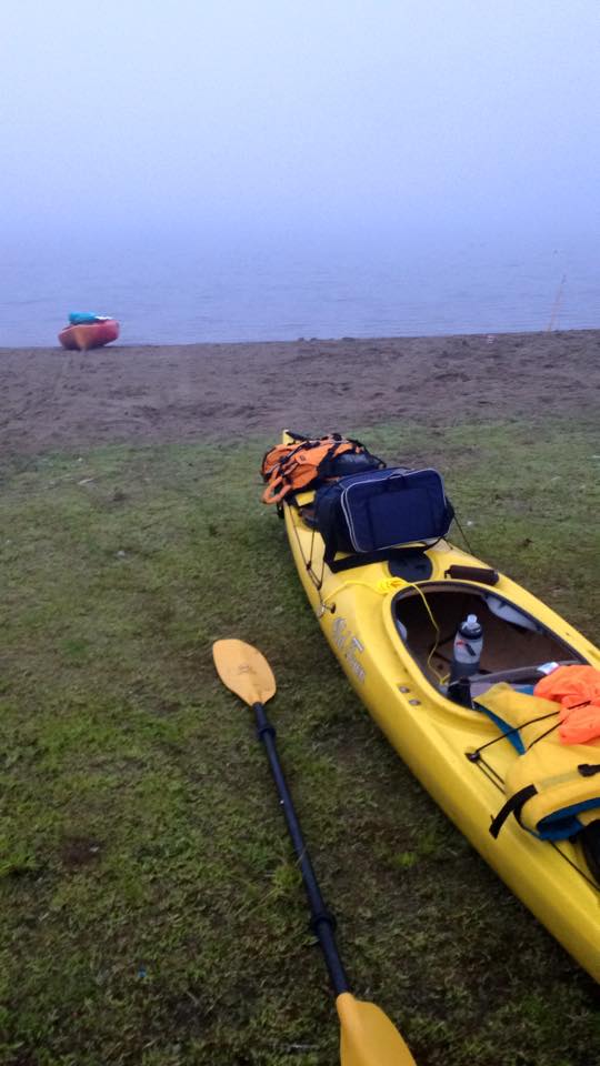 11800420_888649404539280_5384875716065817779_n